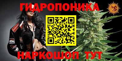 трава Гатчина