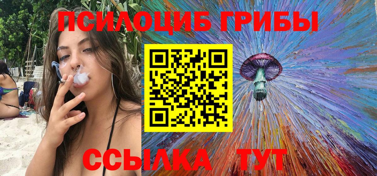 Галлюциногенные грибы Psilocybine cubensis  Вход с VPN  Псилоцибиновые грибы прущие грибы  Железногорск 